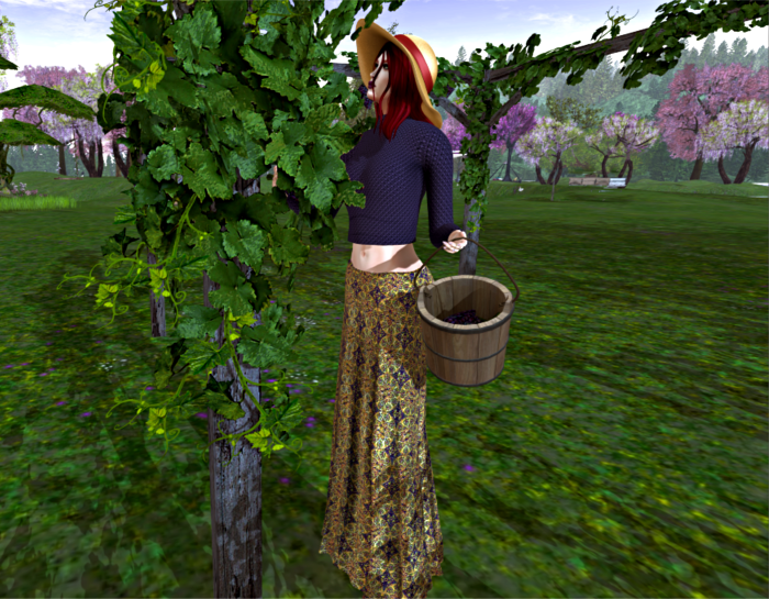 SOS Ever and grape.png