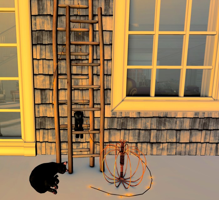 SMS potomac 2019.jpg