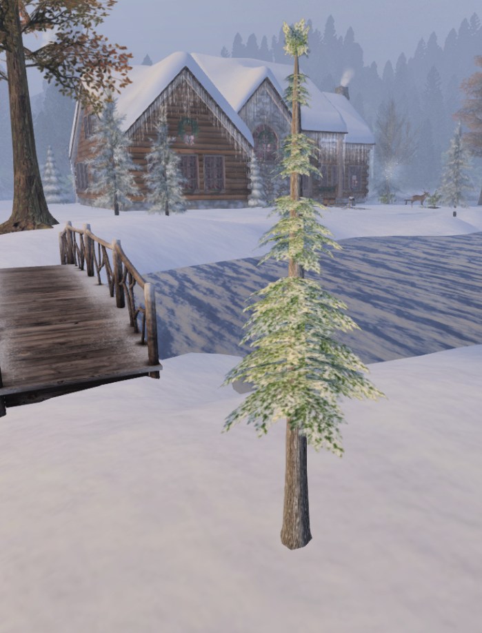 Winter showcase tree.jpg